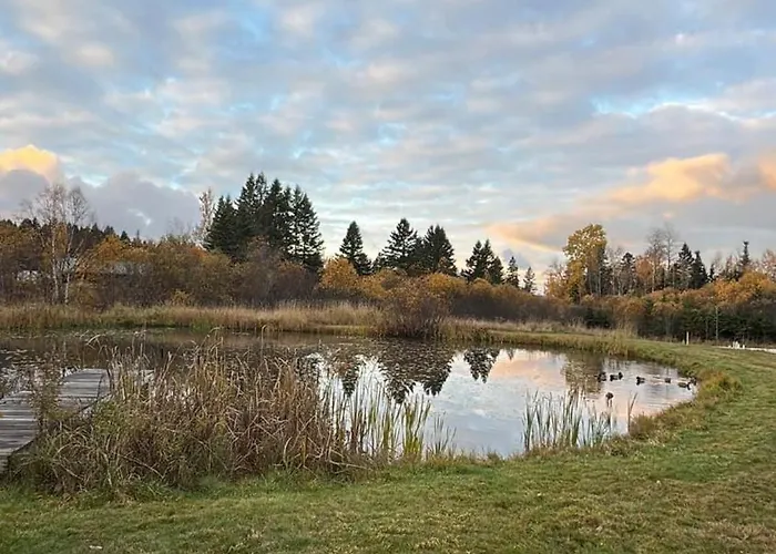 The Lupine | Cross Stone Cabins • Walk To Rangeley Lake
